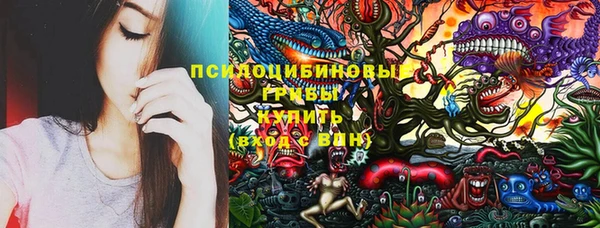 2c-b Богородицк