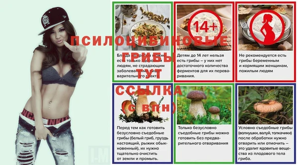 амф Богданович