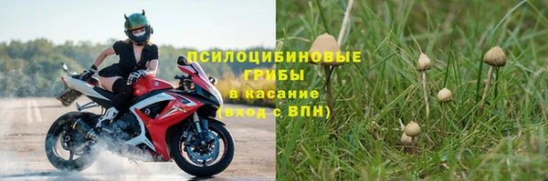амф Богданович