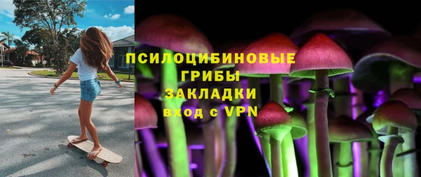 амф Богданович
