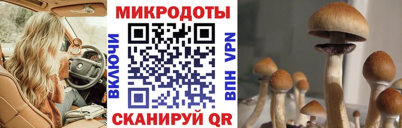 Купить где  Радужный  Псилоцибиновые грибы ЛСД 